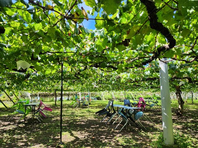 �Ԃǂ����Q_������