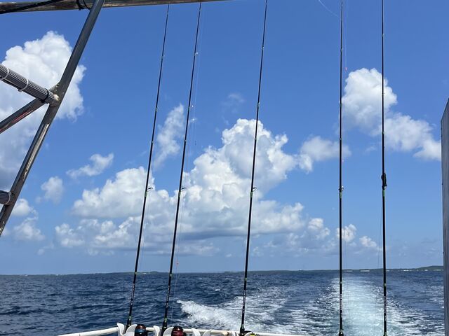 �D�͍ō��ł���_������