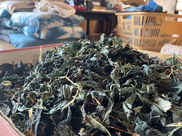 ���̉�_�����̃i�~�z