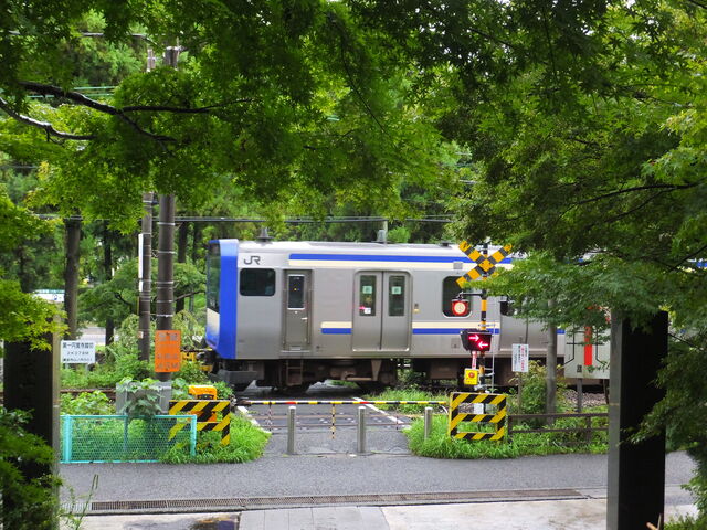 �~�o���̐Βi����_JR�k���q�w