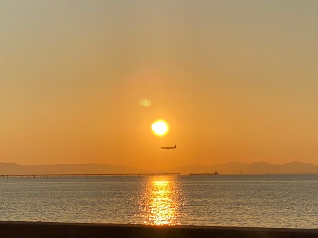 �����N�f���}�[���猩����[���Ɣ�s�@_Link del mar