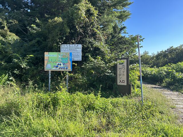 �����ɂ͊Ŕ�����܂�_�[����͔ȍL��i�z���C�g�K�[�f���j