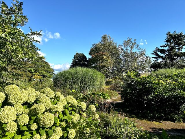 �l�X�ȐA�����A���Ă���܂�_�[����͔ȍL��i�z���C�g�K�[�f���j