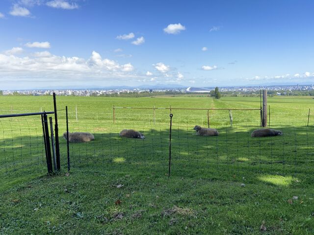 �i�F����Ȋ���_�����ۂ�r���u�W�]��