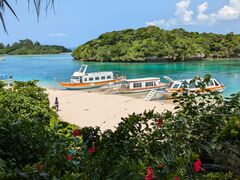 bL[񂳂̂܂͂邭ւ̓eʐ^1