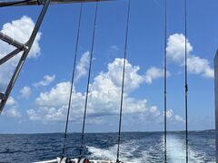 ���Ȃ���̓����񂲂ւ̓��e�ʐ^1