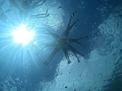 ƂԂ̃}T[rXނʁ[ւ̓eʐ^1