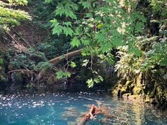 peB̏\ac΃p[X|bgN[Yւ̓eʐ^1