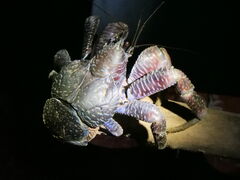 Ί_ ADVENTURE PiPi̎ʐ^1