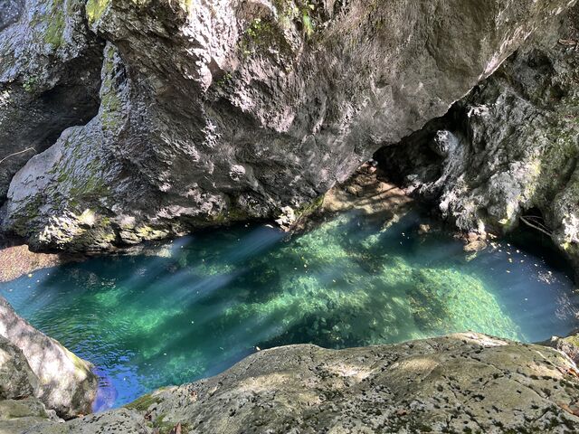 端渓 シマノ(SHIMANO) 渓峰 尖 硬調61ZX 329851｜アウトドア用品・釣り具