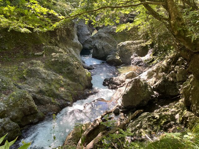 端渓 SRIXON ZXi7 アイアン(6本セット) N.S.PRO 950GH neo DST(アイアン