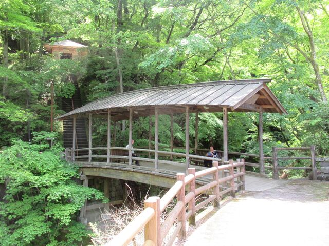 �ܑ䋴�F������̌k�J�ɂ�����_����������