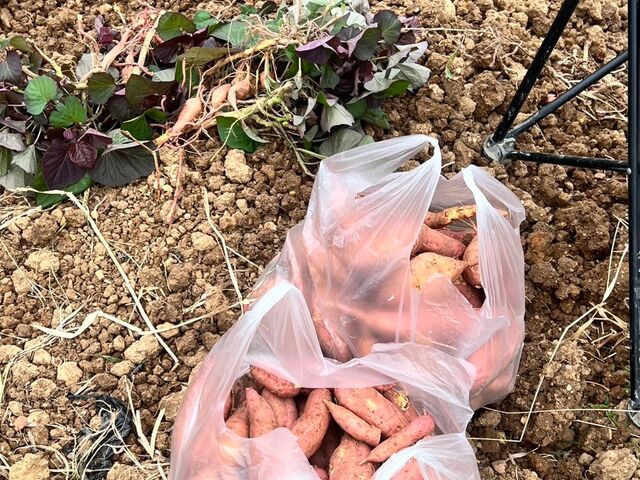 Ȃ҂̃O[Xt@[ ܂@蔨̓eʐ^1