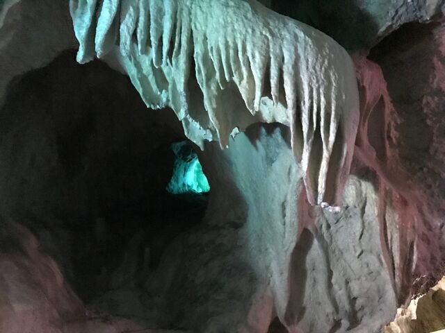 ����V���Ȋw��