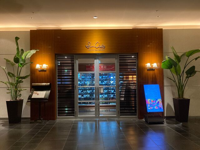 ANA�N���E���v���U�z�e���F�{�j���[�X�J�C_ANA�N���E���v���U�z�e���F�{�j���[�X�J�C