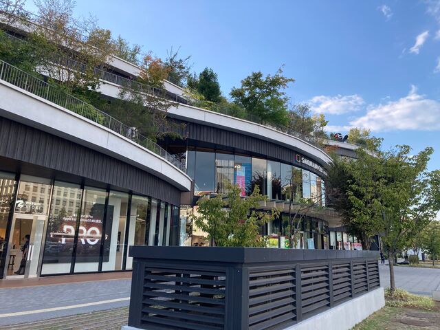 �T�N���}�`�N�}���g_�T�N���}�`�N�}���g