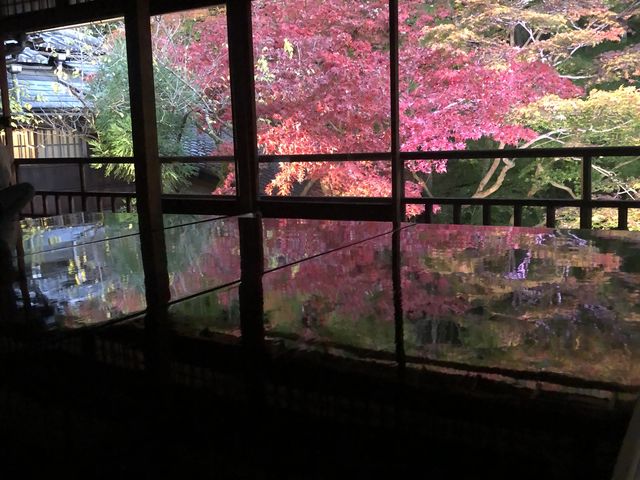 ���v���O��_�ڗ����@