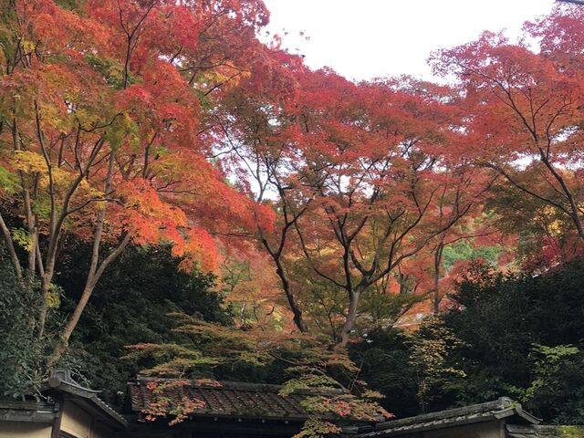 ���v�O���A���ّ҂�_�ڗ����@