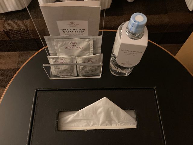 ANA�N���E���v���U�z�e���F�{�j���[�X�J�C_ANA�N���E���v���U�z�e���F�{�j���[�X�J�C