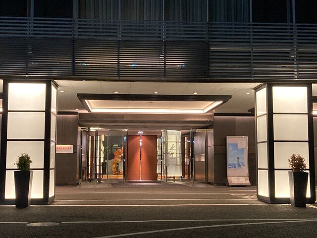 ANA�N���E���v���U�z�e���F�{�j���[�X�J�C_ANA�N���E���v���U�z�e���F�{�j���[�X�J�C