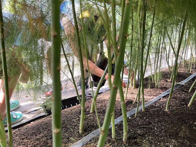 AXpKX͂ĐłˁB_Ȟt@[@ق_