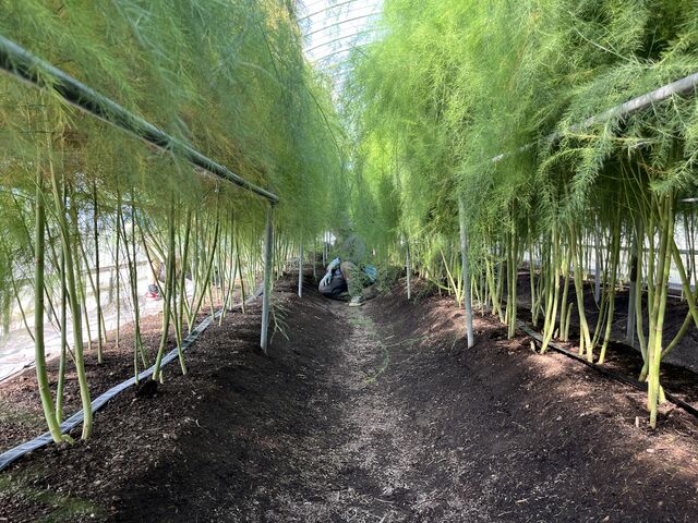 AXpKX͂ĐłˁB_Ȟt@[@ق_