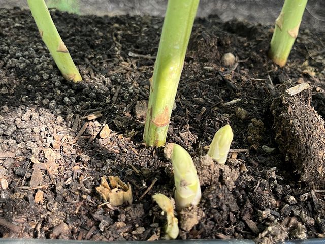 TT̐Ȟt@[@ق_̓eʐ^3