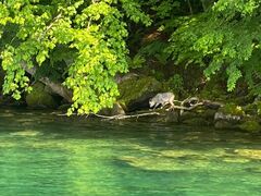 [Yqbp[̃Oh@RIB Tripւ̓eʐ^1