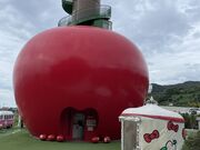 Ȃ񂳂HELLO KITTY APPLE HOUSE̓eʐ^1