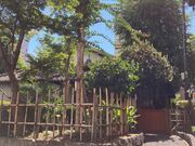 EbL[̏򔪉_F{̓eʐ^1