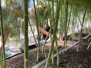 TT̐Ȟt@[@ق_̓eʐ^1