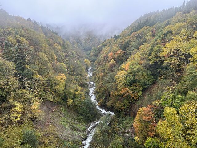 ������̒���
�g�t�Ɛ�_�k�A���v�X�勴