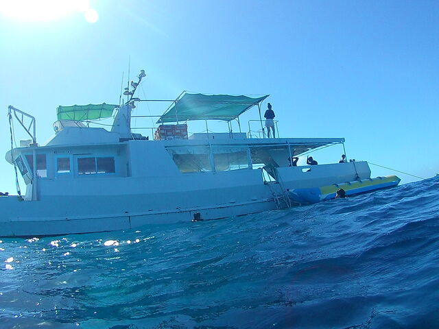 �D_�J�C�U�[�}�����N���u