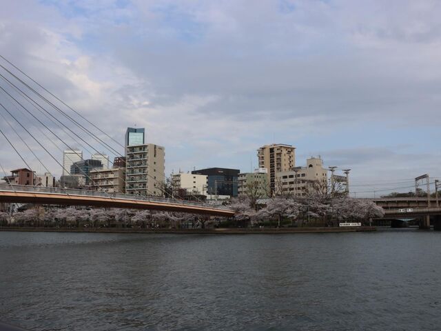 ���s������@���_���