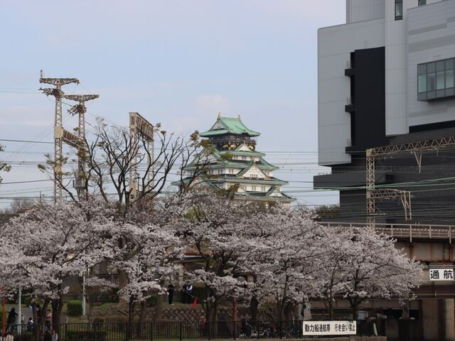 ���s������@���_���