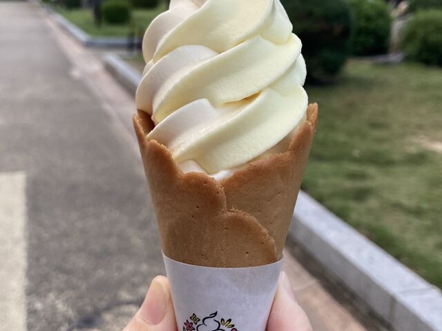 \tgN[i܂A`[Y^gj_X؉YX