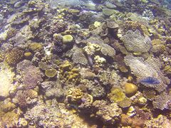 tukkiẽJCU[}Nuւ̓eʐ^2