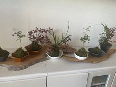 [䂳̘a܂Ȃщ؋ւ̓eʐ^1