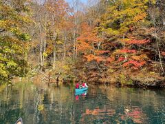 KKQ̋{ÃAEghAZ^[ւ̓eʐ^1