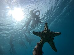 Happybellỹ}Nu Gigiւ̓eʐ^1