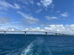 ~̃xCN[YE{Ó@uւ̓eʐ^1