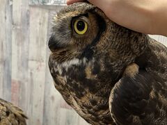 ܂悿񂳂̂ρ[@tNEJtFr܂ւ̓eʐ^1