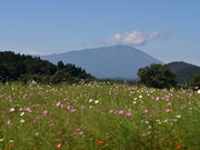 Ђ̌䏊΍Ln所n̓eʐ^6