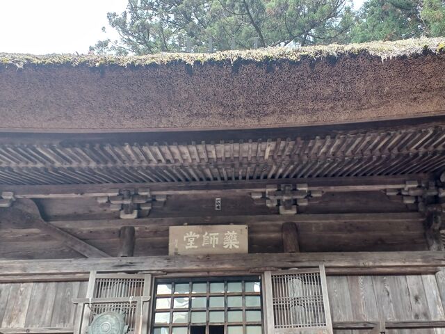 t̊ƂĂhłBRɌwł܂c
_t