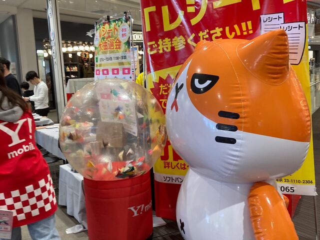 ���ہ[�ƊC�V��_���ہ[�ƊC�V��