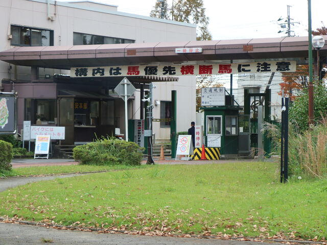 yosshyJRA({n)Yg[jOEZ^[Lق̓eʐ^2