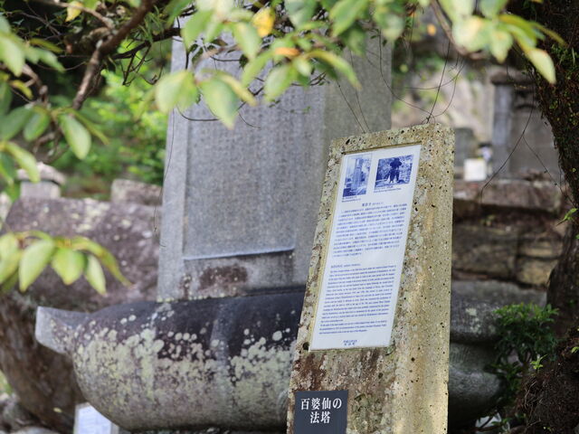 [CX̕񉶎iSk̔j̓eʐ^1