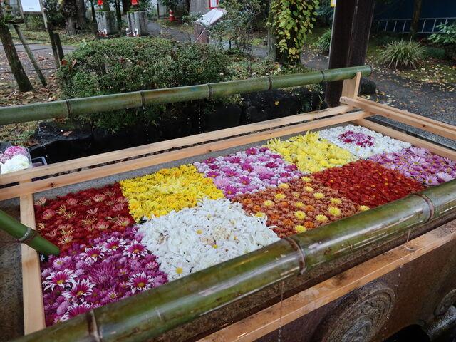 yosshẙ}Ԉא_Ђ̋e̓eʐ^1