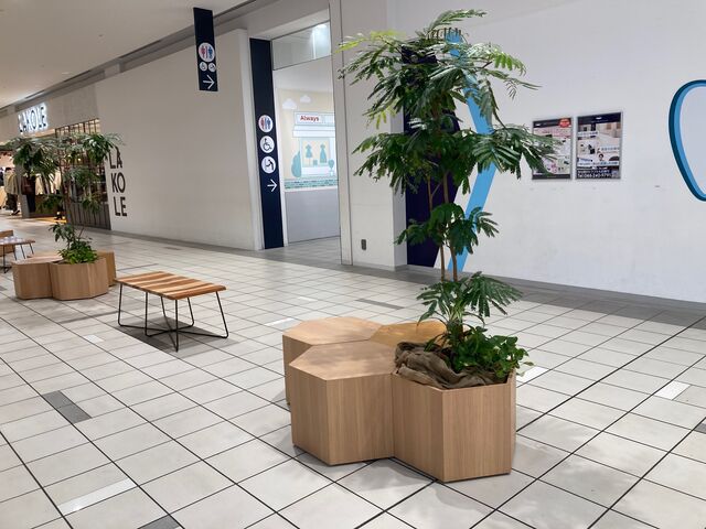 ���ہ[�ƊC�V��_���ہ[�ƊC�V��