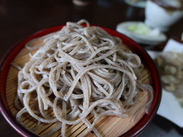 yosshy̎ŕSY בR̓eʐ^5